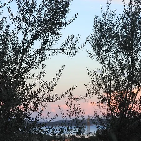 Résidence A Licetta * Porto Vecchio