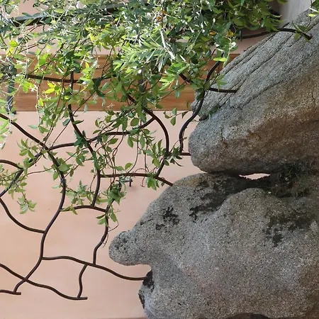 A Licetta Porto-Vecchio (Corsica)