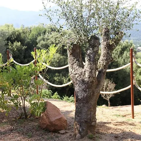 Vakantiehuis A Licetta *