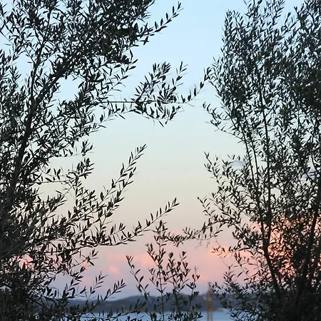 A Licetta * Porto-Vecchio (Corsica)